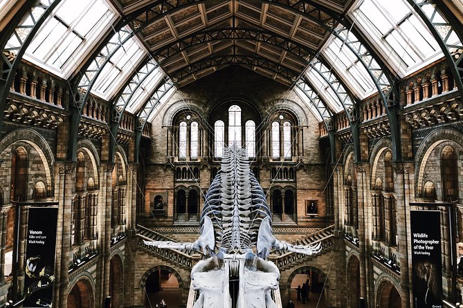 , LONDON - Natural History Museum's